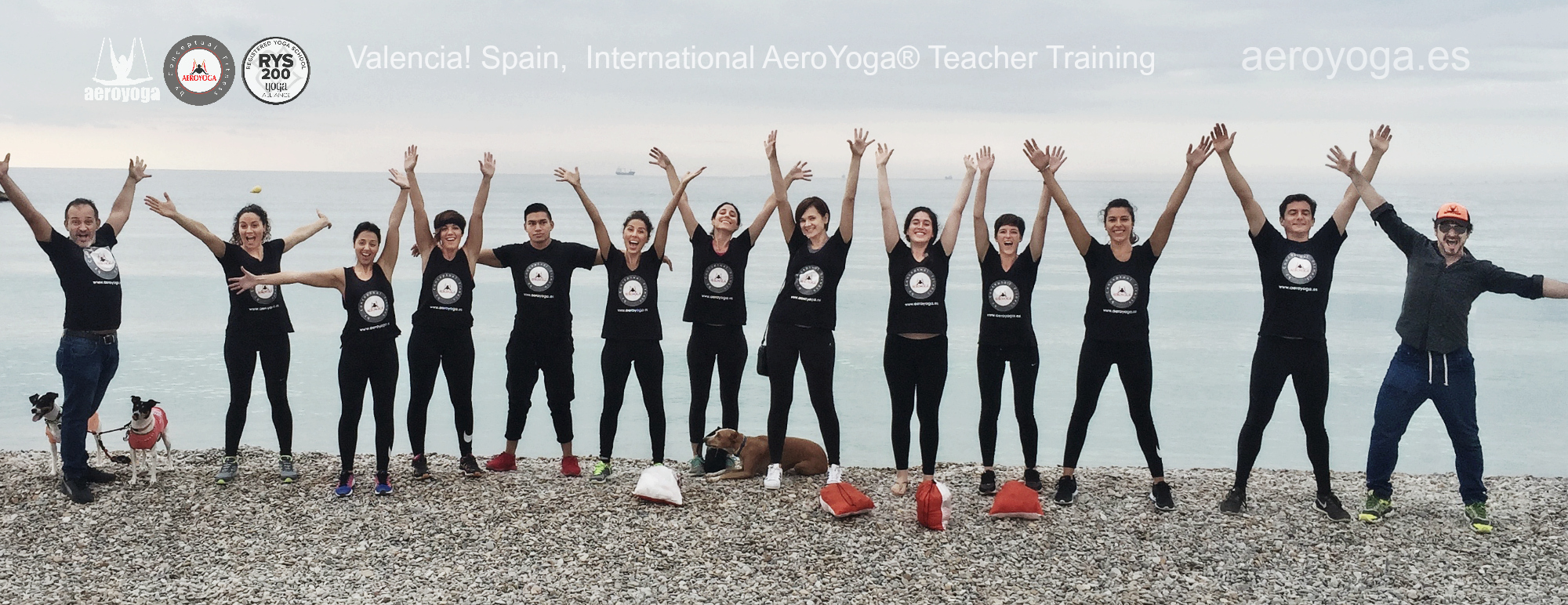 Cursos Formación Aero Yoga International en Valencia!