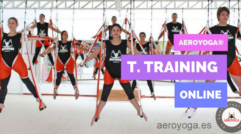 Yoga Swing: The 5 Most Frequently Asked Questions about the Online AeroYoga® Teachers Training