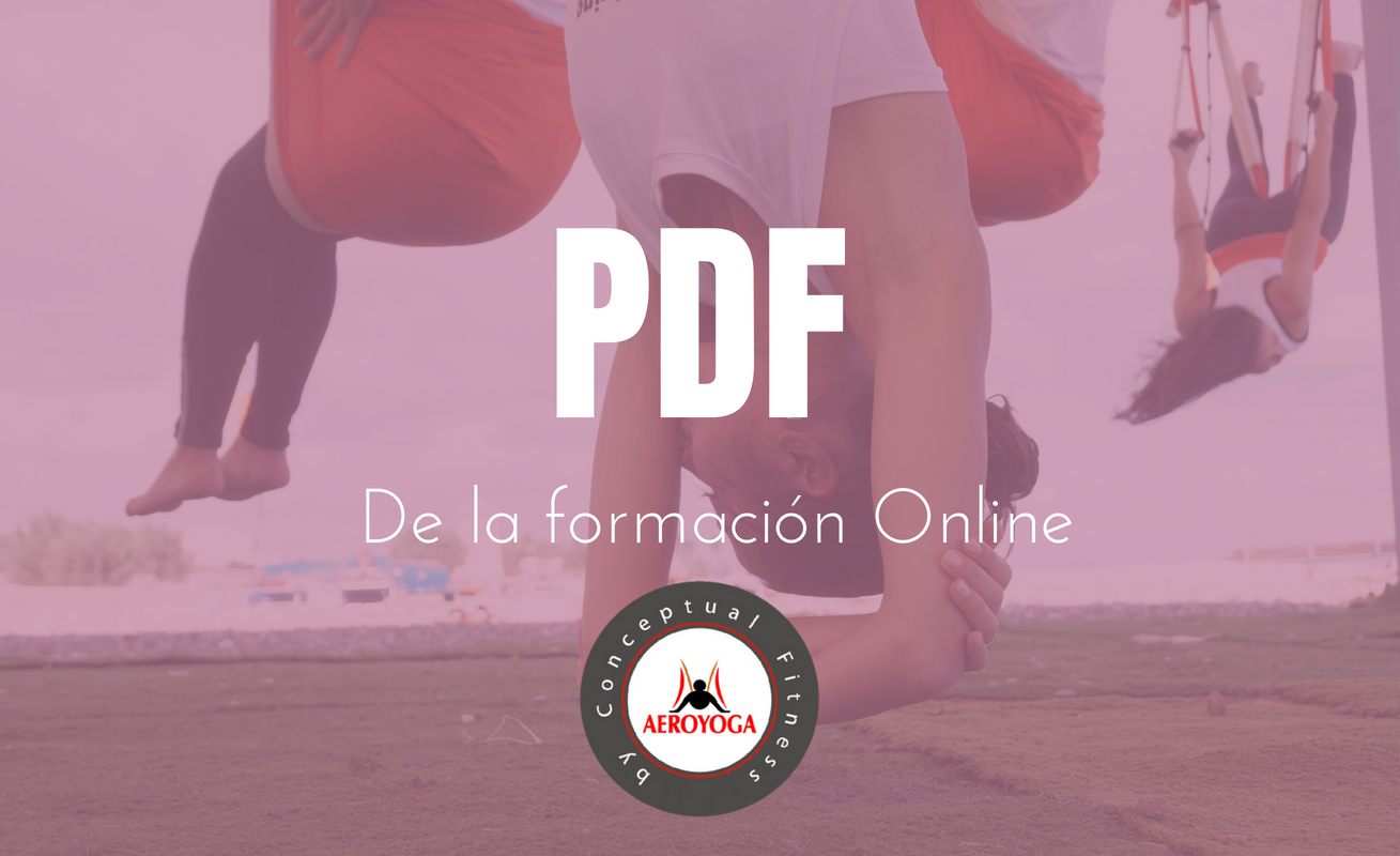 Formación Profesores Aero ® Yoga Aéreo Chile