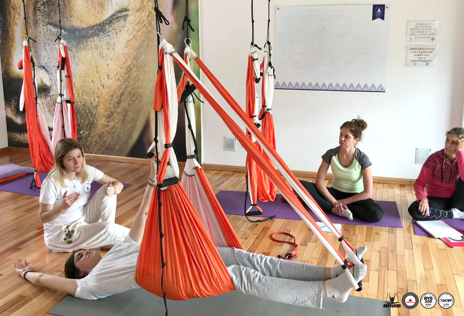 Argentina, Profesorado Yoga Aéreo, Pilates Aéreo, Fitness Aéreo en Buenos Aires con AeroYoga ® Institute