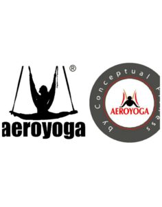 logo aeroyoga yoga aéreo latino américa